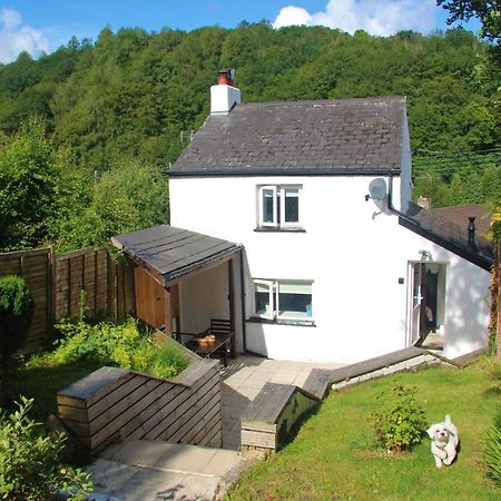 Peacock Cottage Cinderford Exteriör bild