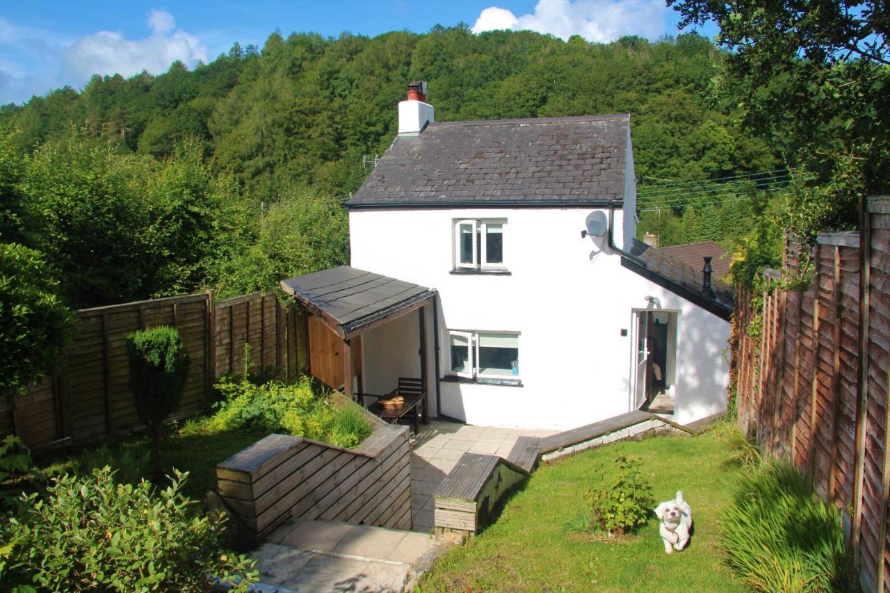 Peacock Cottage Cinderford Exteriör bild