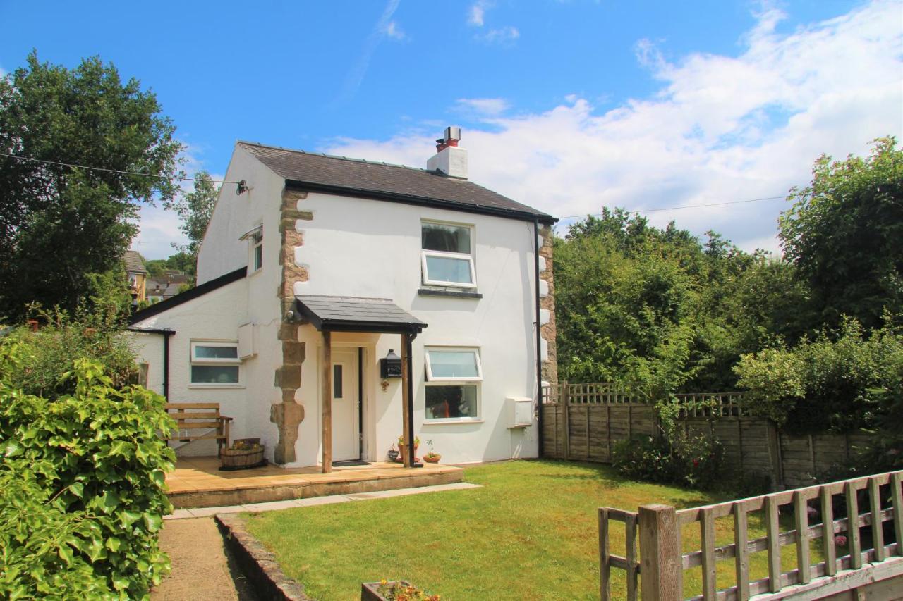 Peacock Cottage Cinderford Exteriör bild
